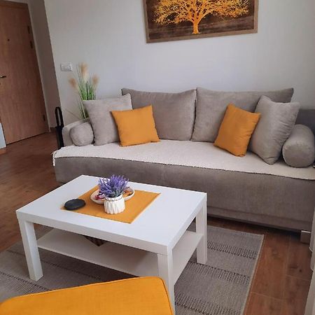 Bankovic Apartman Vrnjačka Banja المظهر الخارجي الصورة
