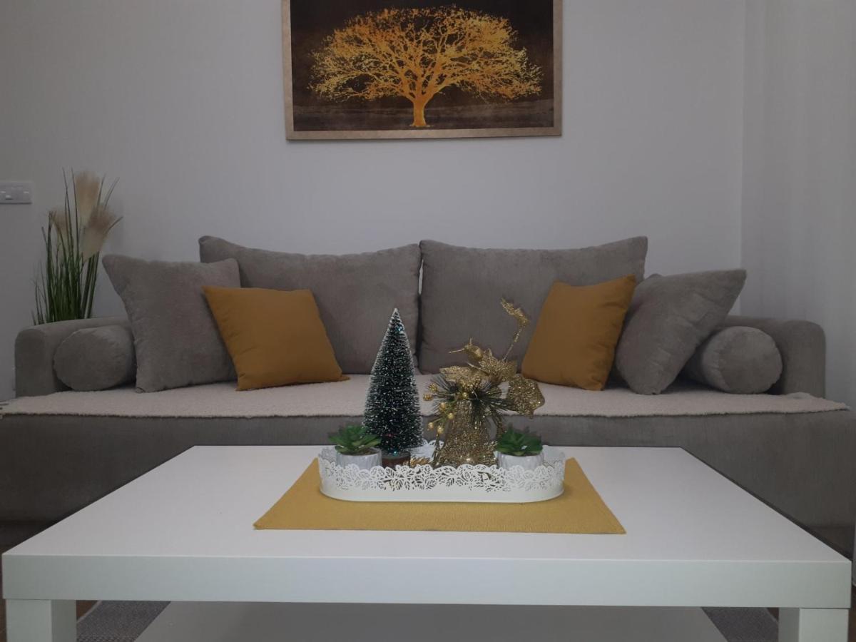 Bankovic Apartman Vrnjačka Banja المظهر الخارجي الصورة