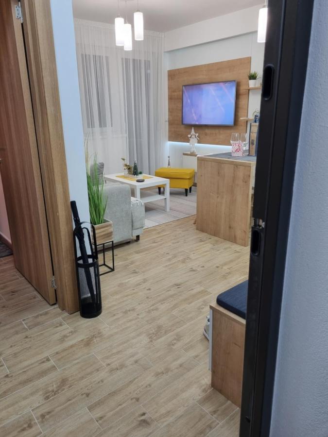 Bankovic Apartman Vrnjačka Banja المظهر الخارجي الصورة
