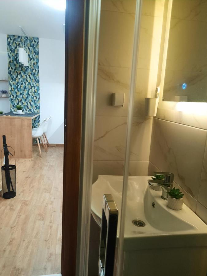 Bankovic Apartman Vrnjačka Banja المظهر الخارجي الصورة